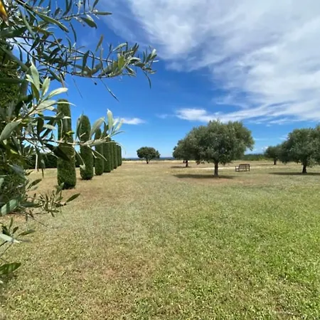 Apartamento 04b6 Beautiful In A Mas Provencal - Pool Brunet