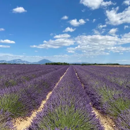 Lägenhet 04b6 Beautiful In A Mas Provencal - Pool