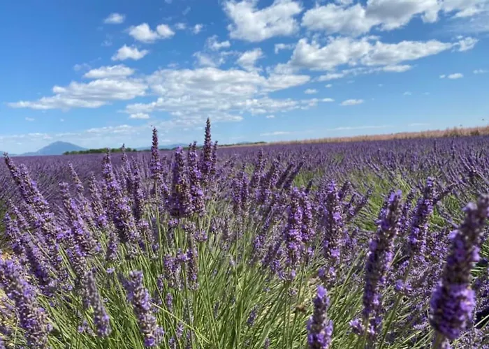 04b6 Beautiful In A Mas Provençal - Pool * Brunet