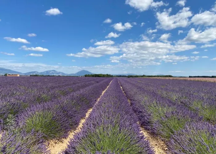 Appartamento 04b6 Beautiful In A Mas Provençal - Pool